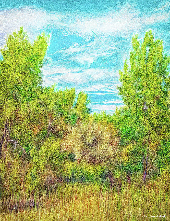 Shining Forest Afternoon Digital Art by Joel Bruce Wallach