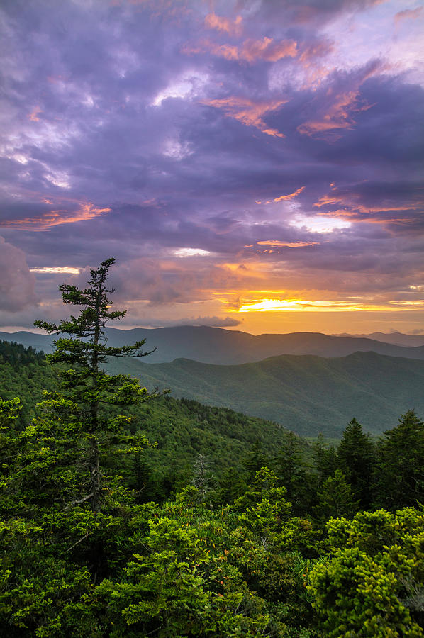 Shining Glory Photograph by Dawnfire Photography - Pixels