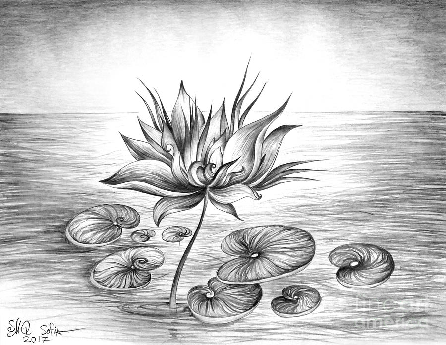 Premium Vector | Botanic leaf buds collection pencil sketch of lotus flower  coloring page vector illustration