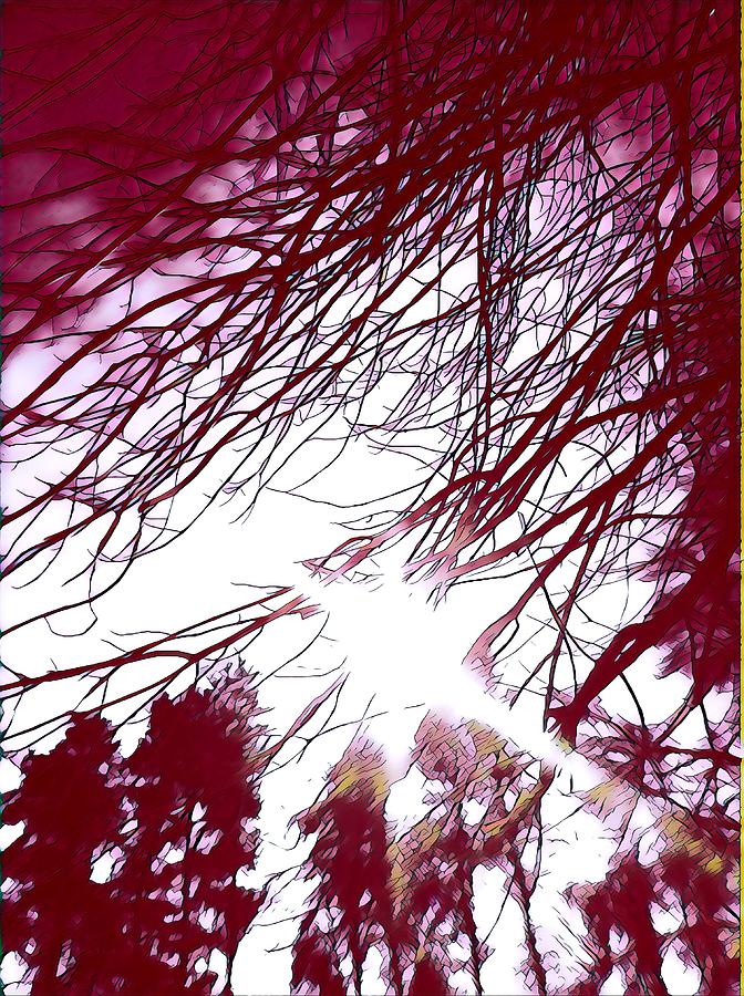 Shining Through Crimson Woods Digital Art
