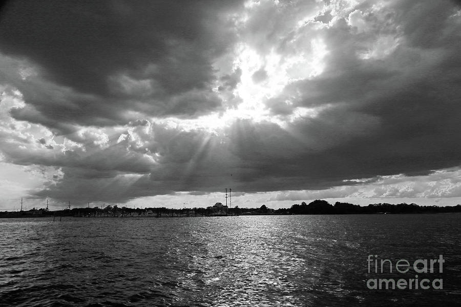 Shining Through in BW Photograph by Mary Haber