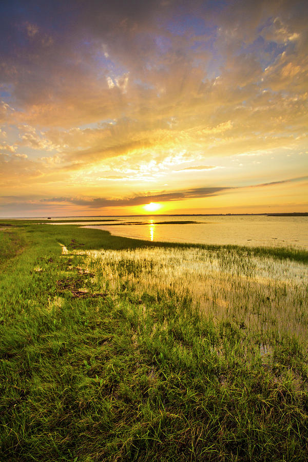 Shinnecock Bay Wetland Sunset Photograph by Robert Seifert