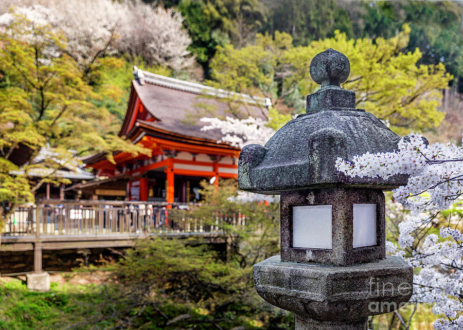 Shinto Shrine and Cement Lantern Photograph by Karen Jorstad