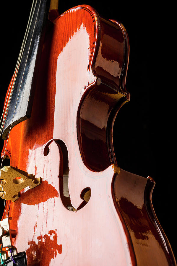 Shiny Violin Photograph by Garry Gay