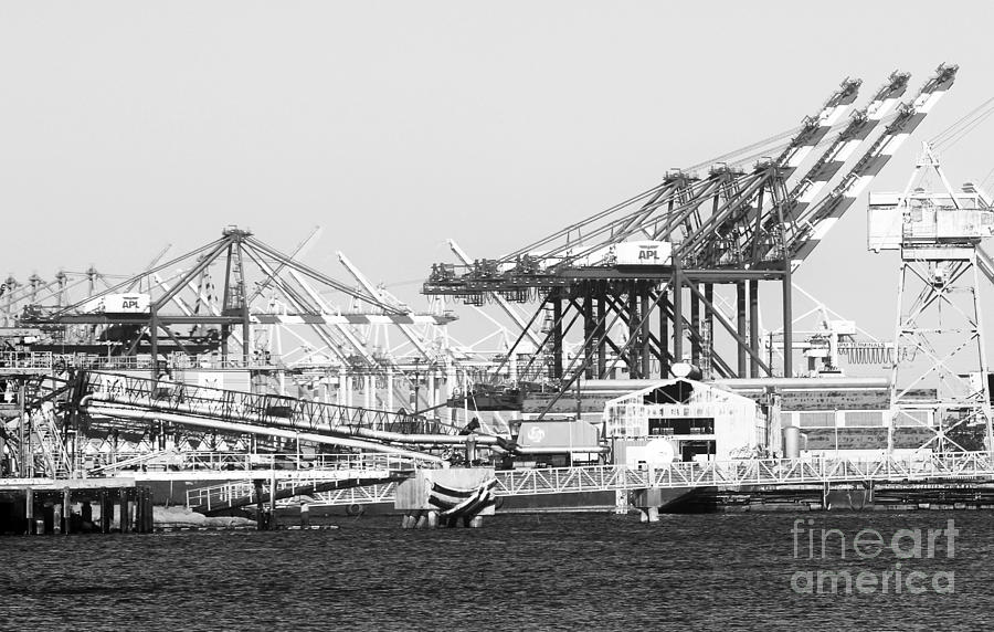 Los Angeles Photograph - Ship Container Cranes blk wht by Cheryl Del Toro