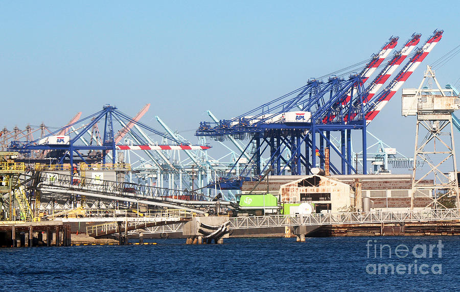 Ship Container Cranes color Photograph by Cheryl Del Toro