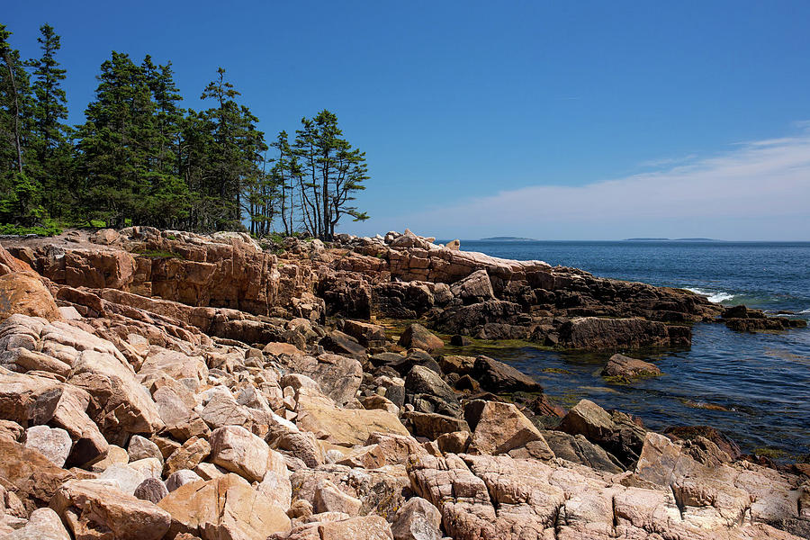 Ship Harbor - Acadia Photograph by David Lipsy