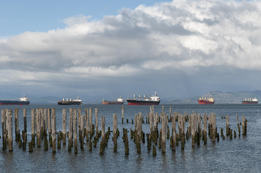 Ships at Astoria Photograph by Robert Potts