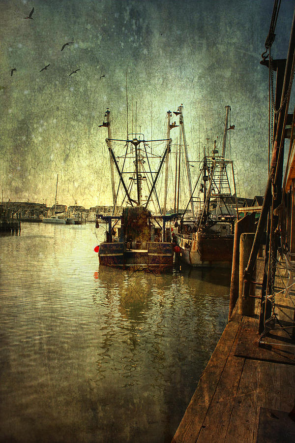 Ships Docked Photograph by John Rivera