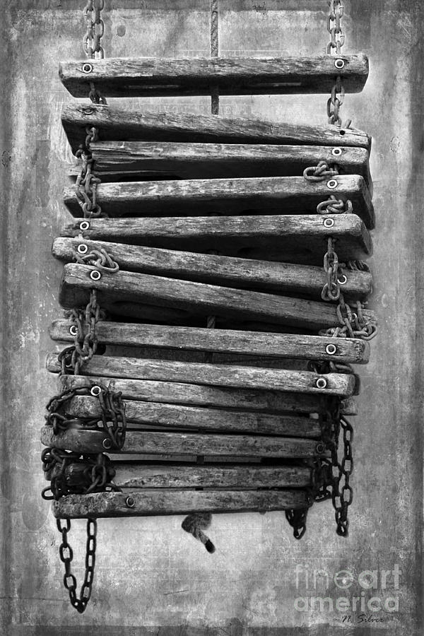 Ships Ladder in Black and White Photograph by Nina Silver