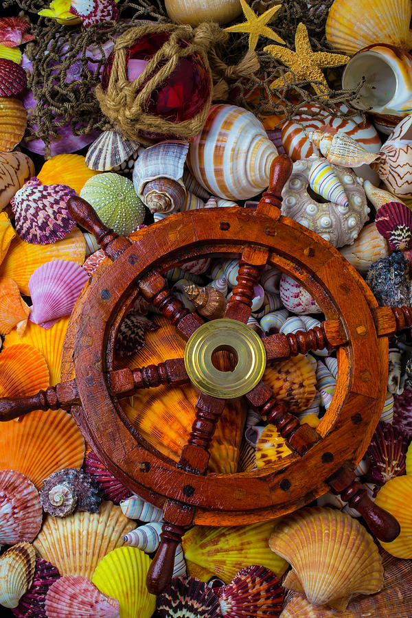 Shell Photograph - Ships Wheel Among Seashells by Garry Gay
