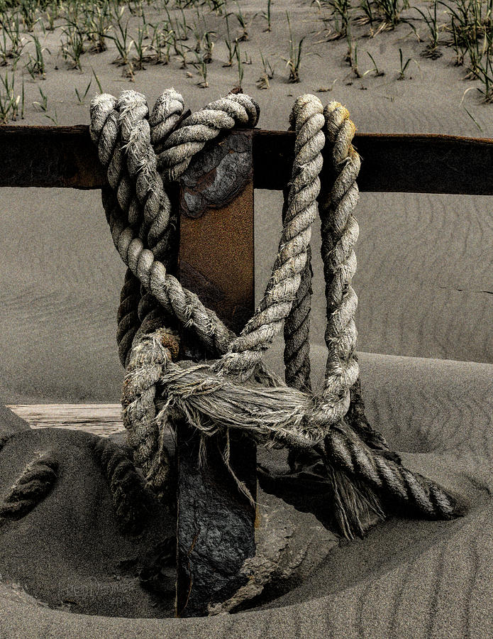 Shipwecked Rope Photograph by Fred Denner