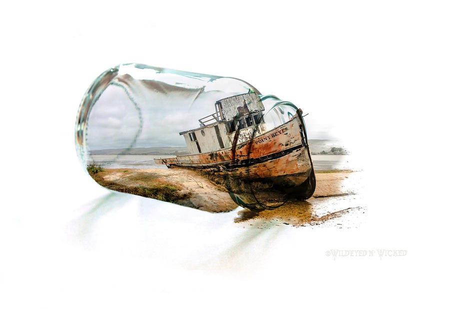 Shipwrecked  Digital Art by Brenda Wilcox aka Wildeyed n Wicked