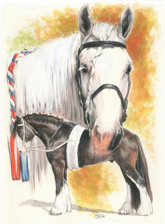 Horse Mixed Media - Shire by Barbara Keith