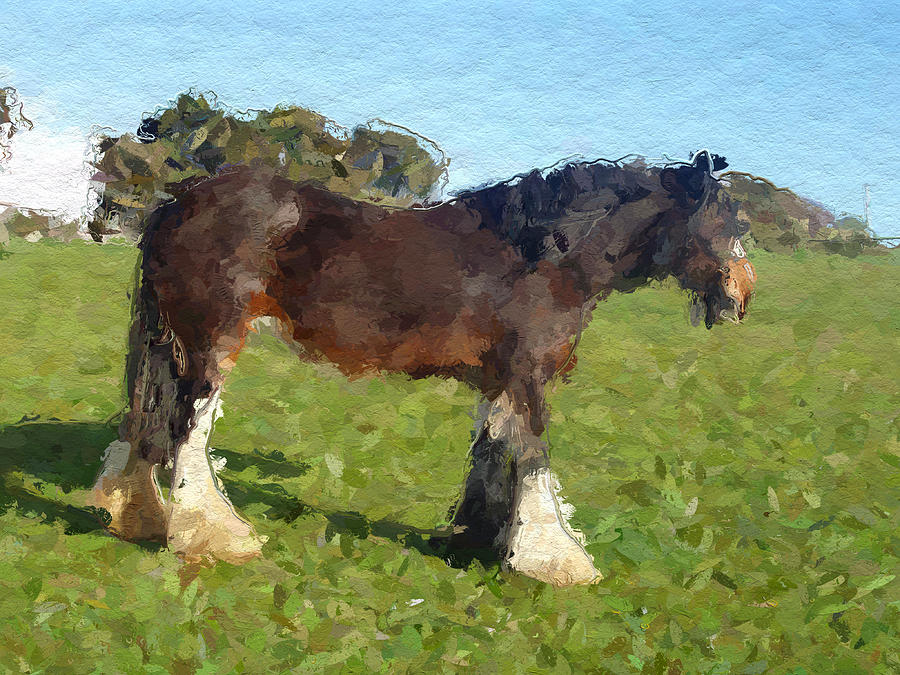 Shire Horse Art Painting by Queso Espinosa | Fine Art America