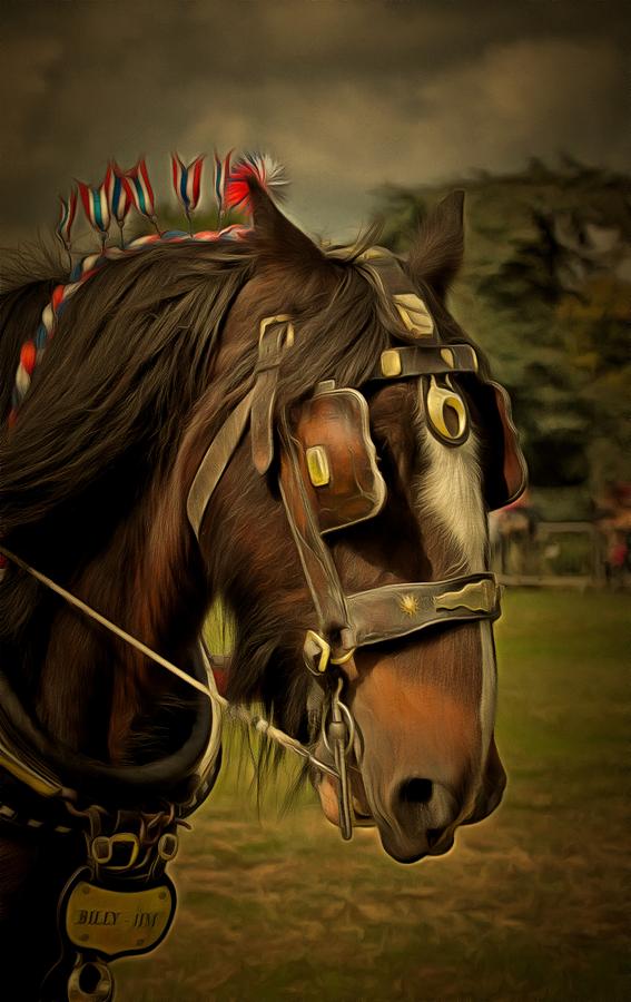 Shire Horse Photograph by Scott Carruthers