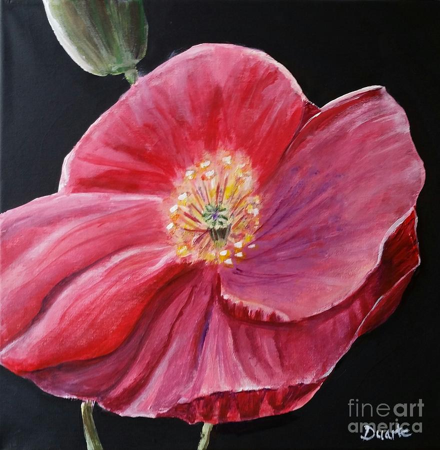 Shirley You Can by Carol Duarte Shirley You Can by Carol Duarte