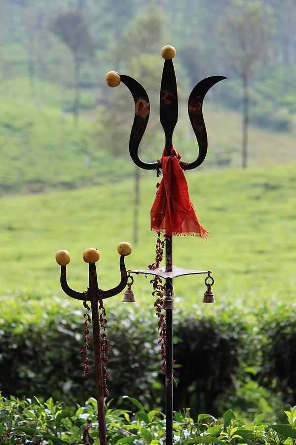 Shivas Trishul, Valparai Photograph by Jennifer Mazzucco