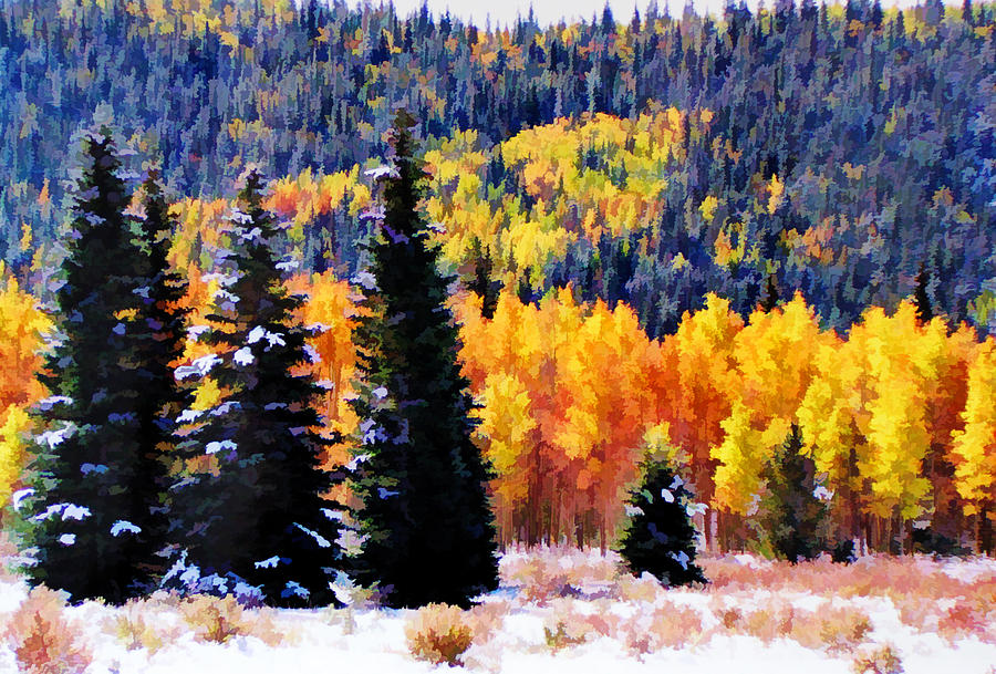 Shivering Pines In Autumn Photograph By Diane Alexander