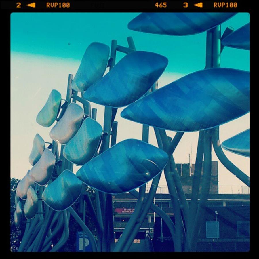 Olympics Photograph - #shoal #stratford #newham #olympics by Julie Featherstone