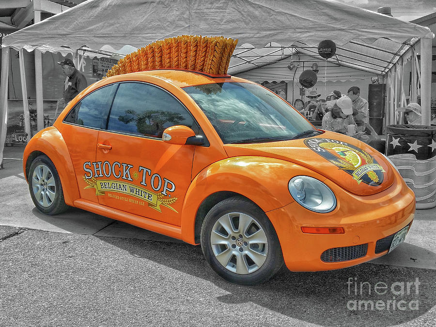 Shock Top Beetle Photograph by Tony Baca
