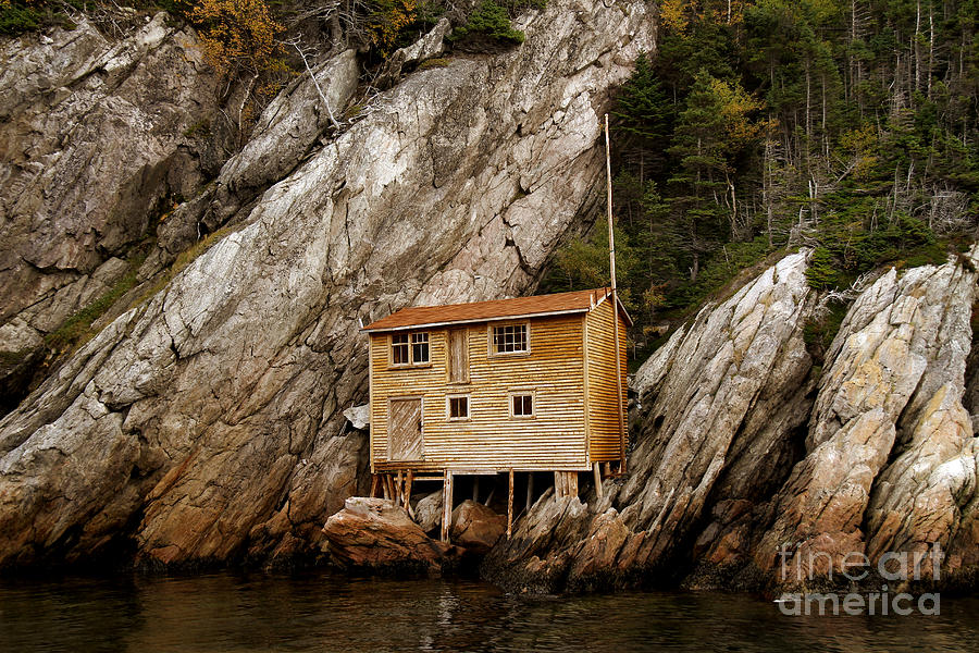 Shoe Cove Newfoundland Photograph by Vickie Emms | Pixels