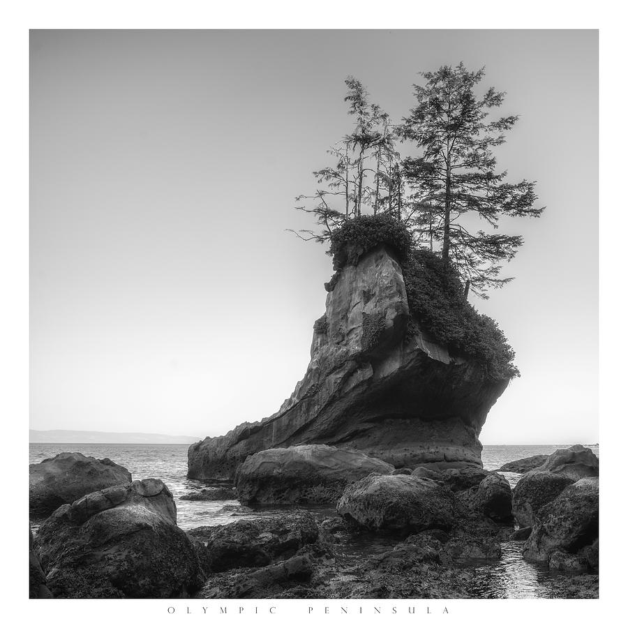 Shoe Rock Poster Photograph by Chad Tracy