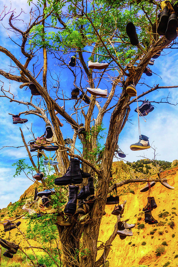 Shoe Tree Photograph by Garry Gay