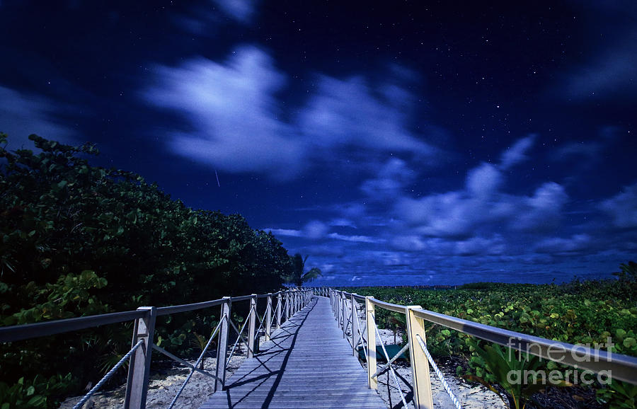 Shooting Star In Tropical Paradise Photograph by Charline Xia