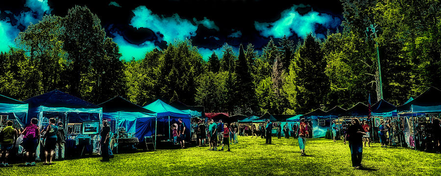 Shopping at Arts in the Park Photograph by David Patterson