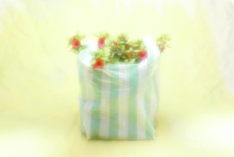 shopping bag by Hans Janssen shopping bag by Hans Janssen
