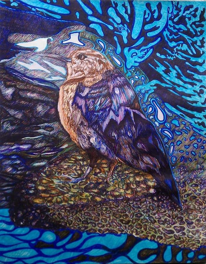Shore Bird Drawing by Angela Weddle