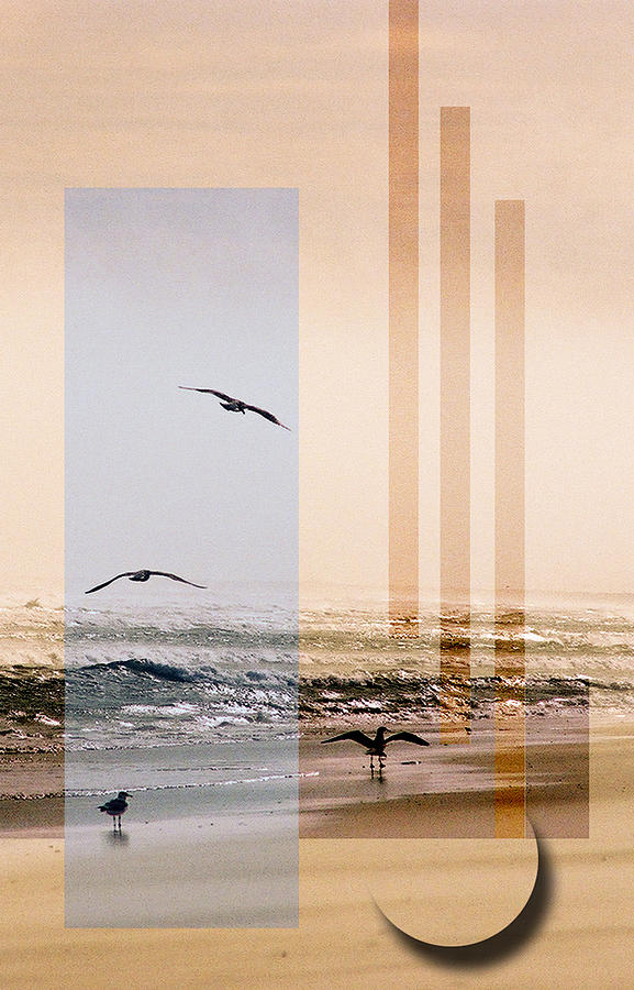 Shore Collage Photograph by Steve Karol
