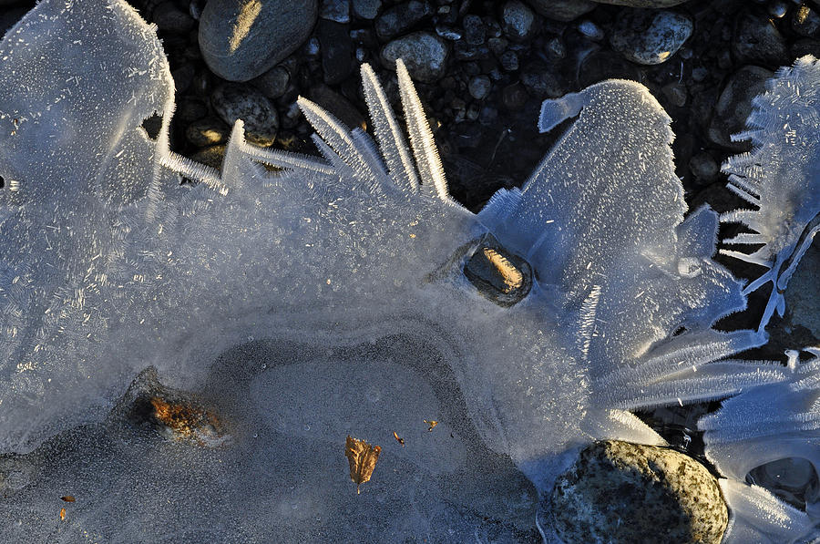Shore Ice Abstract Photograph by Cathy Mahnke