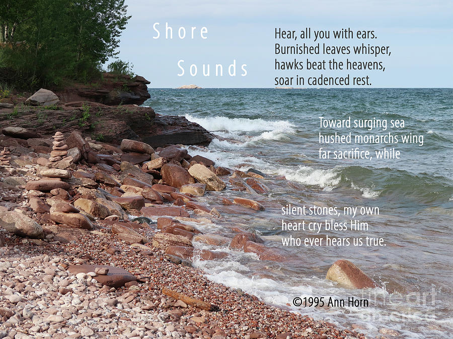 Shore Sounds Photograph by Ann Horn