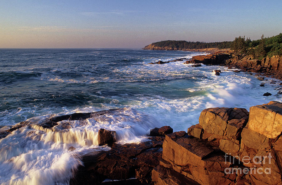 Shoreline at Acadia National Park, Maine Photograph by Kevin Shields