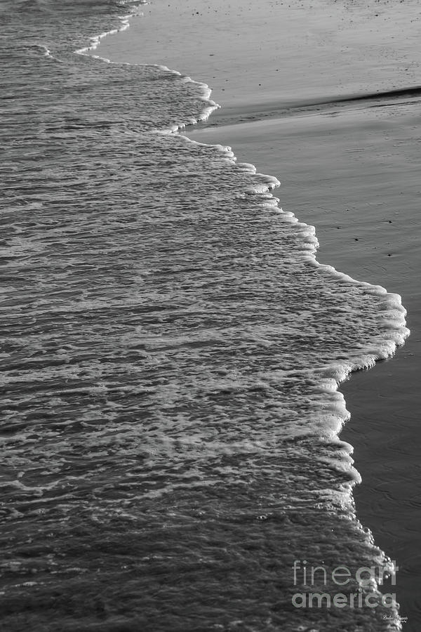 Shoreline Beauty Grayscale Photograph by Jennifer White