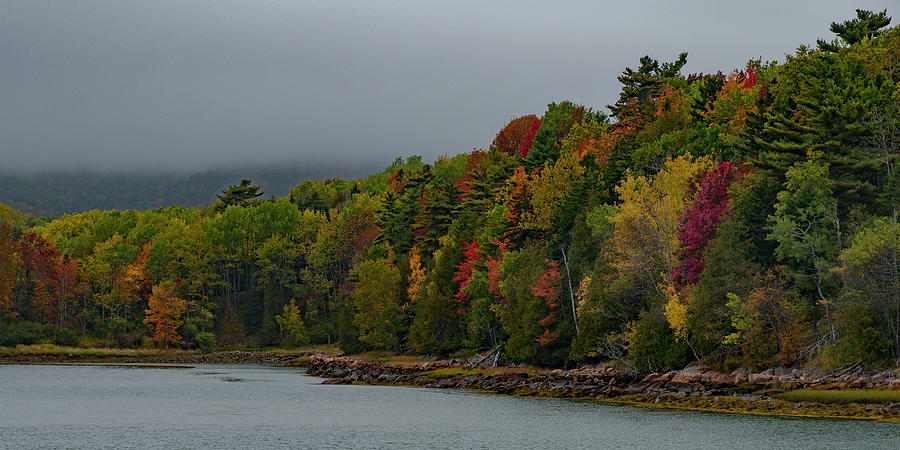 Acadia National Park Photograph - Shoreline Color by Gary Lengyel
