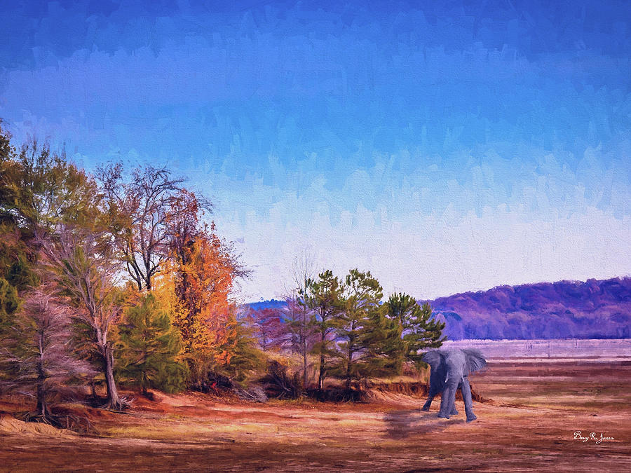 Shoreline Elephant Digital Art by Barry Jones