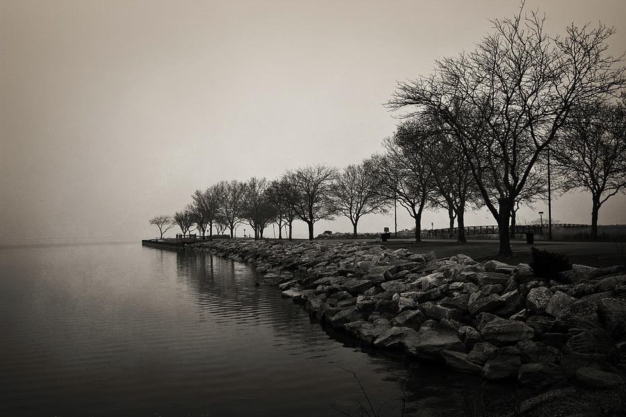 Black And White Photograph - Shoreline Mist by Shawna Rowe