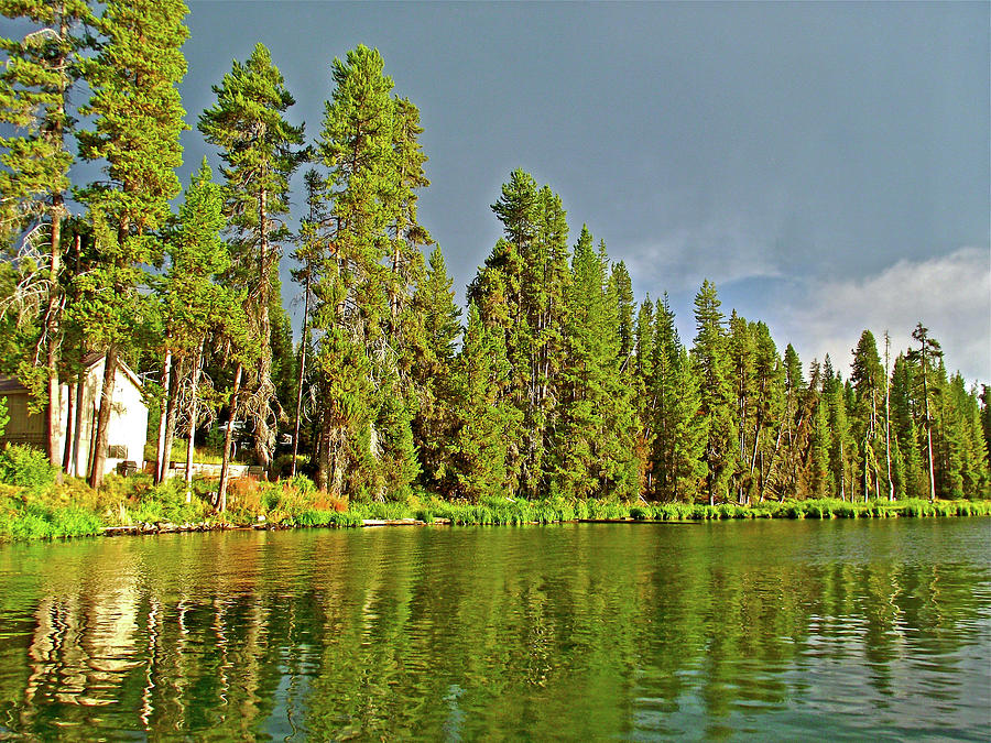 Shoreline of Diamond Lake in Umpqua National Forest, Oregon Photograph by Ruth Hager