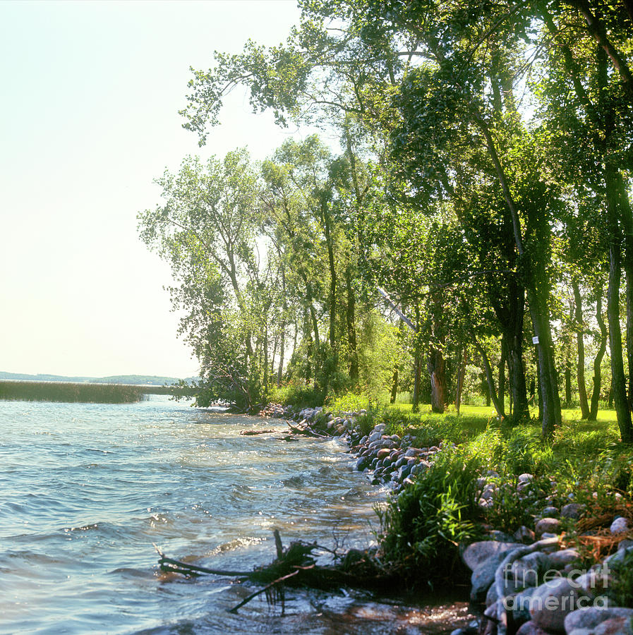 Shoreline of Lake Clitherall. Clitherall Minnesota MN USA Photograph by ...