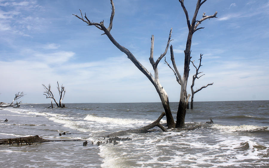 Shoreline on Hunting Island SC Photograph by Ellen Tully