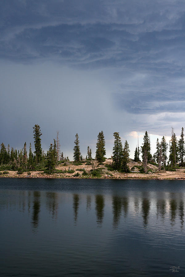 Shoreline Pine Trees and Storm Photograph by Brett Pelletier