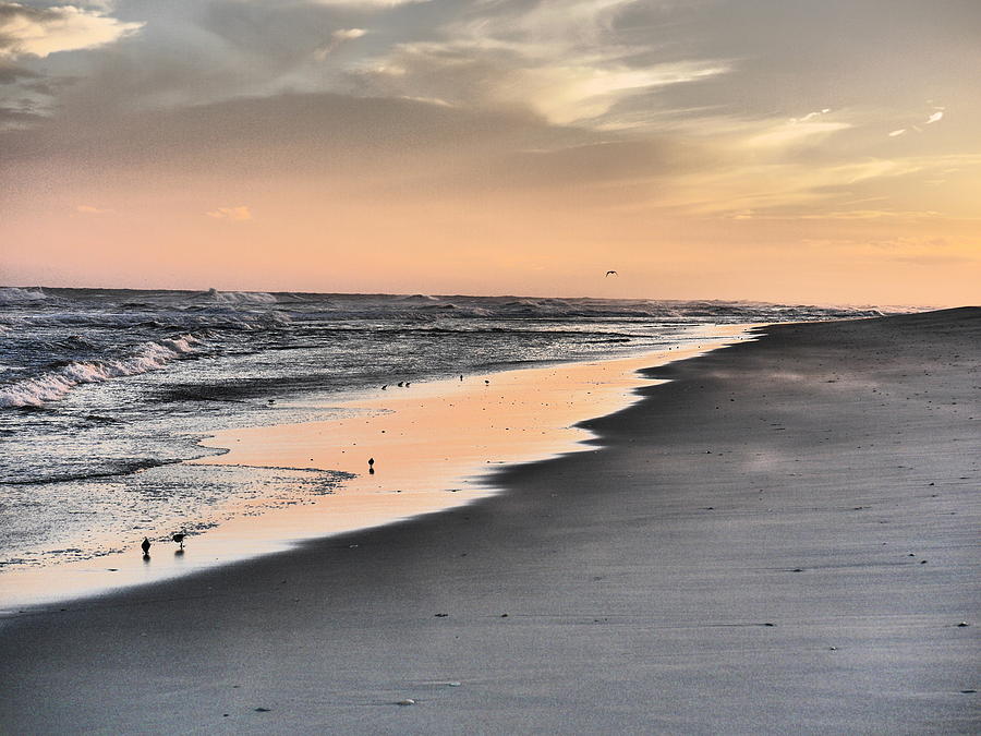Shoreline Sunset Photograph by Jack Riordan