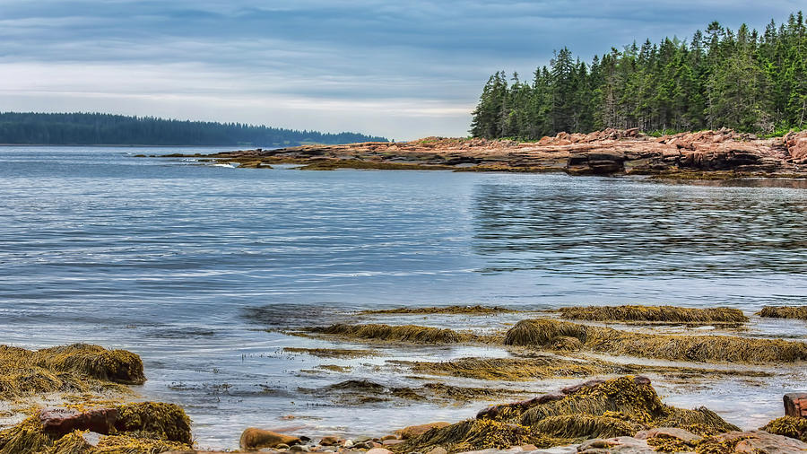 Shores of Mt Desert Island Photograph by John M Bailey