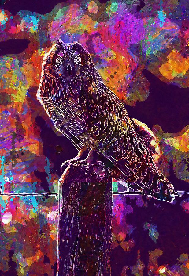 Short Eared Owl Bird Perched by PixBreak Art