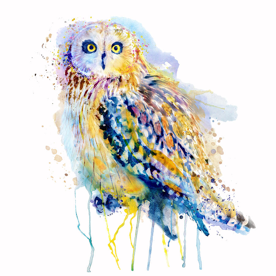 Short Eared Owl  Painting by Marian Voicu