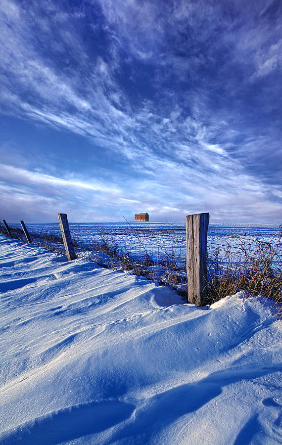 Winter Photograph - Short Piece of Time by Phil Koch