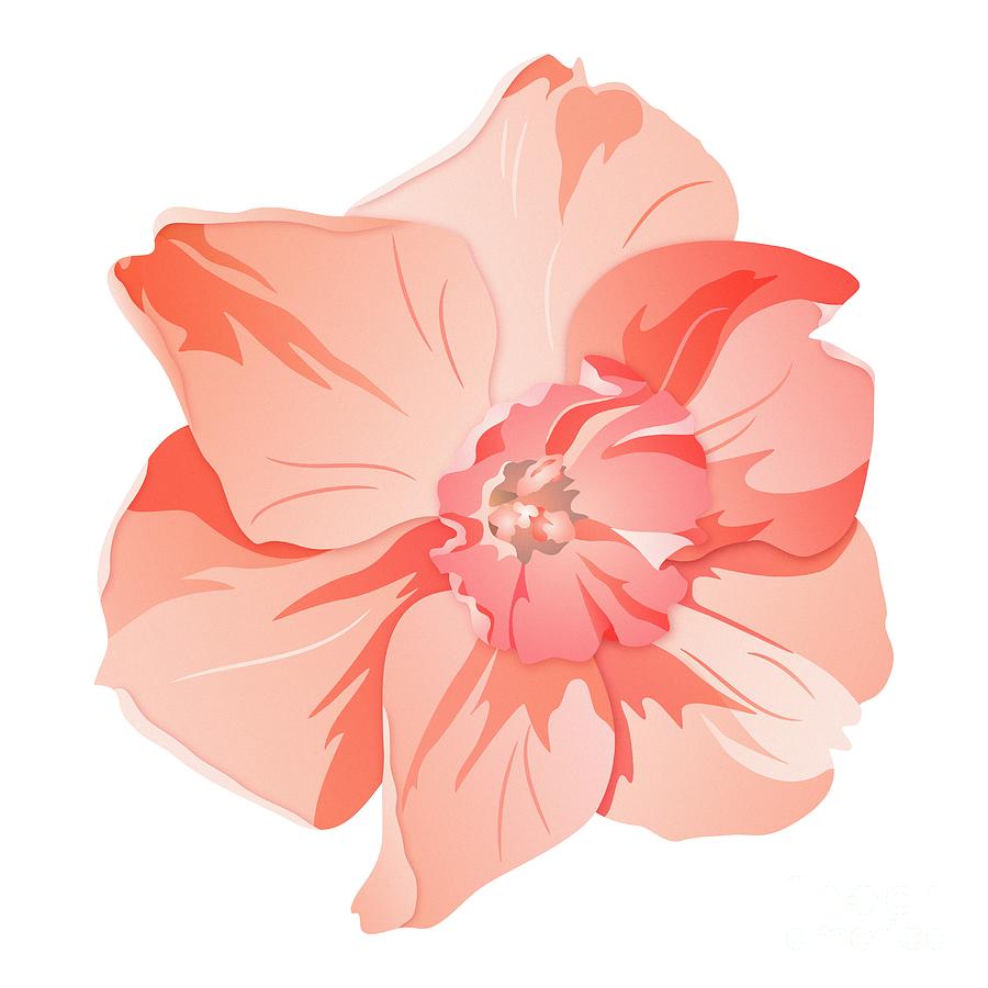 Short Trumpet Daffodil in Warm Pink Digital Art by MM Anderson